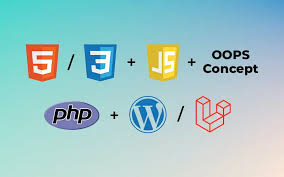 آموزش طراحی وب سایت در کیش | دوره رایگان HTML و CSS